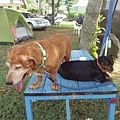 IMG_20140908_102804.jpg