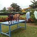 IMG_20140908_120322.jpg