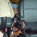 IMG_20140908_121141.jpg