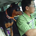 IMG_20140908_122105.jpg