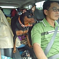 IMG_20140908_122356.jpg
