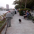 10407063_831252550270165_2682515870465918726_n.jpg
