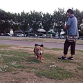 IMG_20141130_144516.jpg