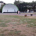 IMG_20141130_144509.jpg