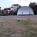 IMG_20141130_144450.jpg
