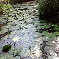 IMG_20141130_100258.jpg