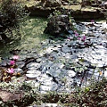IMG_20141130_100044.jpg