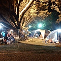 IMG_20141129_205832.jpg
