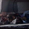 IMG_20141129_172831.jpg