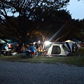 IMG_20141129_172515.jpg