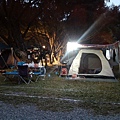 IMG_20141129_172438.jpg