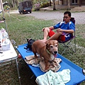 IMG_20141129_162042.jpg
