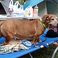 IMG_20141129_161838.jpg