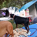 IMG_20141129_161633.jpg