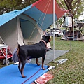 IMG_20141129_161248.jpg
