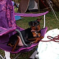 IMG_20141129_161215.jpg