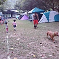 IMG_20141129_155200.jpg