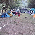IMG_20141129_155128.jpg