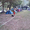 IMG_20141129_155123.jpg