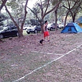 IMG_20141129_155057.jpg