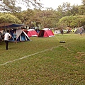 IMG_20141129_154950.jpg