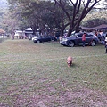 IMG_20141129_154938.jpg
