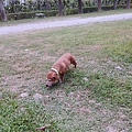 IMG_20141129_154858.jpg