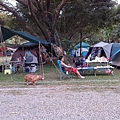 IMG_20141129_154530.jpg