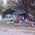 IMG_20141129_154408.jpg