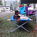 IMG_20141129_153500.jpg