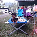 IMG_20141129_153454.jpg
