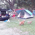 IMG_20141129_153406.jpg