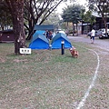 IMG_20141129_153250.jpg