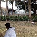 IMG_20150220_143350.jpg