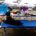 IMG_20150221_121000.jpg
