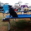 IMG_20150221_122022.jpg