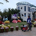 IMG_20150221_143335.jpg