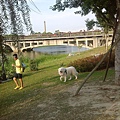 IMG_20150418_170818.jpg