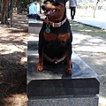 20150502_125017.jpg