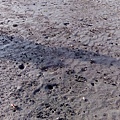 IMG_20150927_161019.jpg