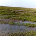 IMG_20150927_161301.jpg