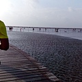 IMG_20150927_162335.jpg