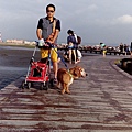 IMG_20150927_162353.jpg
