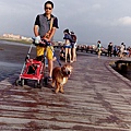 IMG_20150927_162357.jpg