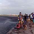 IMG_20150927_162438.jpg