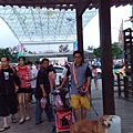 IMG_20150927_175537.jpg
