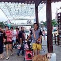 IMG_20150927_175537_1.jpg