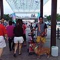 IMG_20150927_175546.jpg