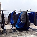 IMG_20151001_122145.jpg