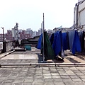 IMG_20151001_122647.jpg